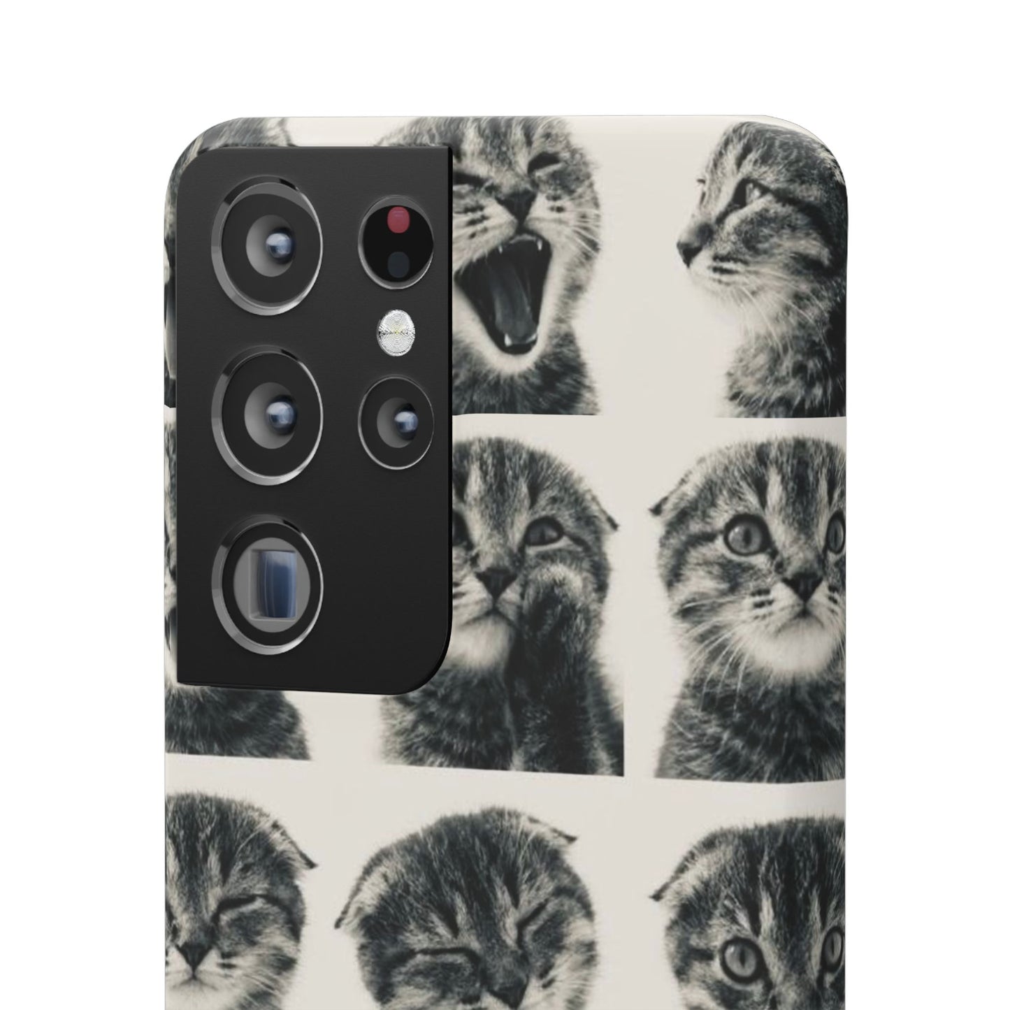 Kitty Posing Phone Case